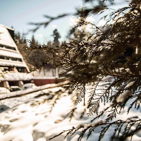Moura Boutique Hotel By Asteri Hotels Borovets Bagian luar foto