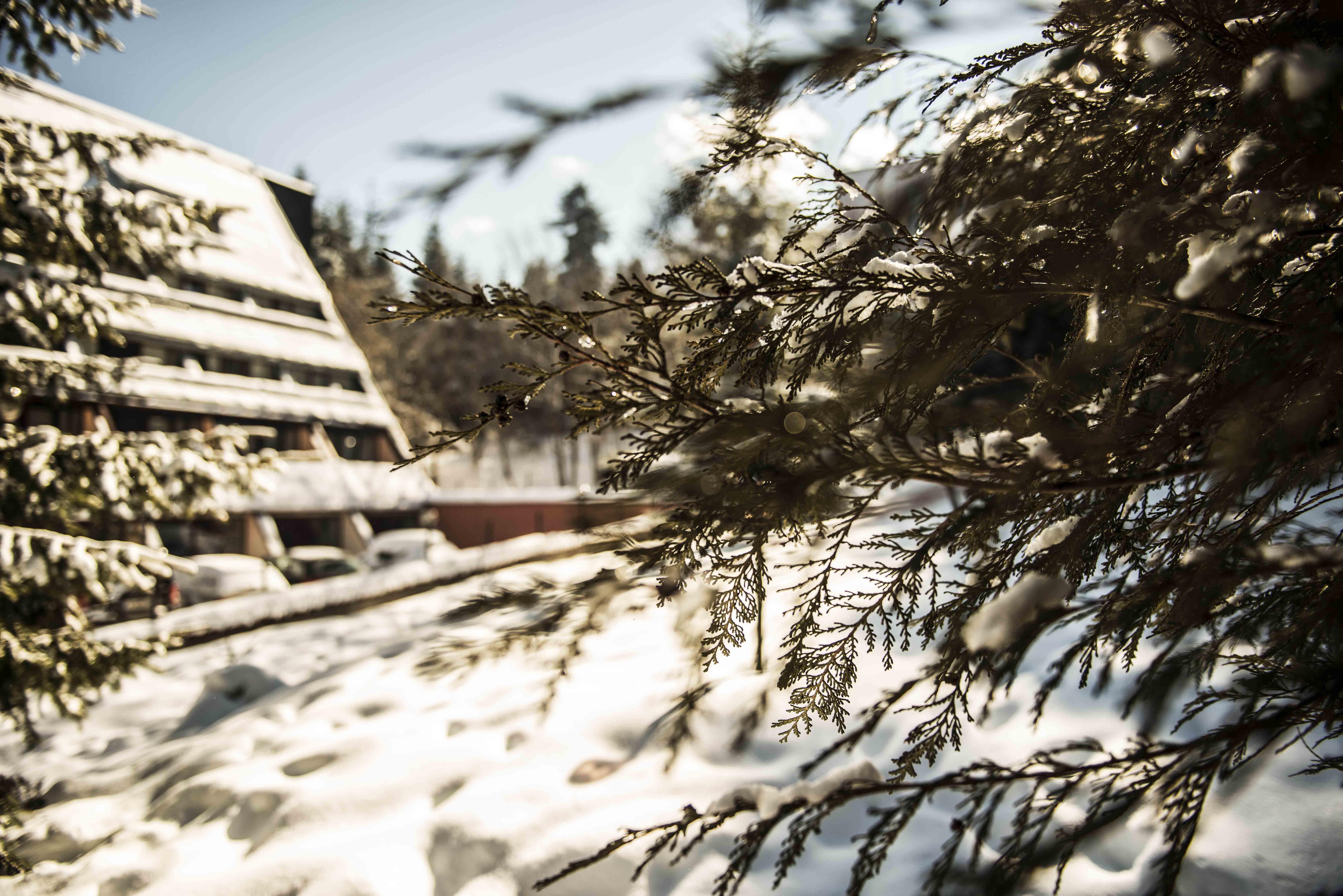 Moura Boutique Hotel By Asteri Hotels Borovets Bagian luar foto